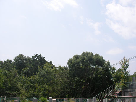 20100815-0001.jpg