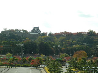 20141116_0005.JPG