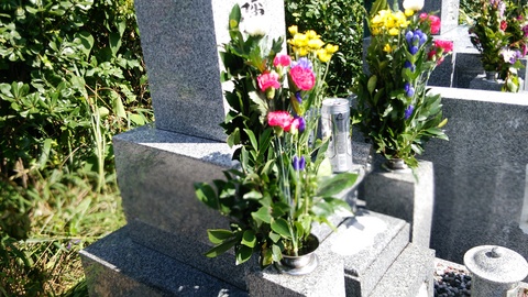 DSC_0193.JPG