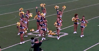 lions_cheer.png
