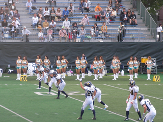 seaguls_cheer.png